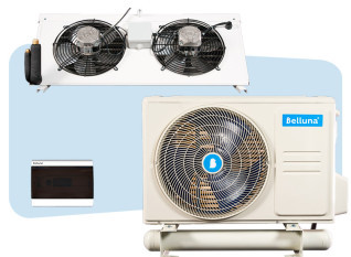 �������� ����. Belluna iP-1